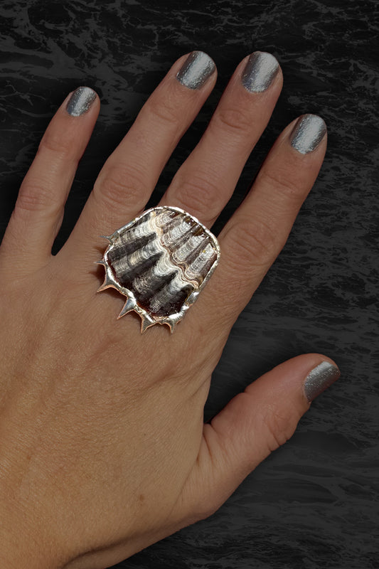 Soldered Seashell Adjustable Fidget Spin Ring