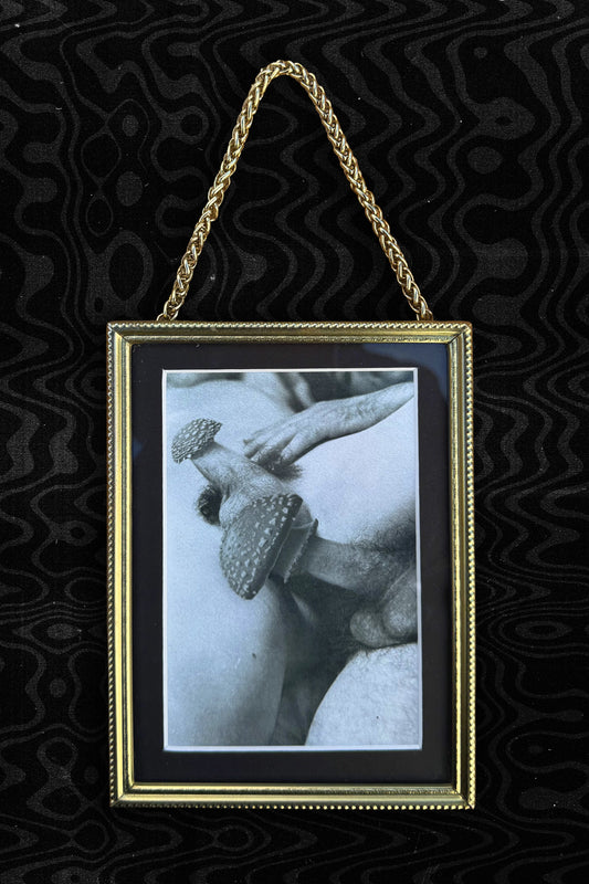 Vintage Brass Color Frame Nude Collage Art