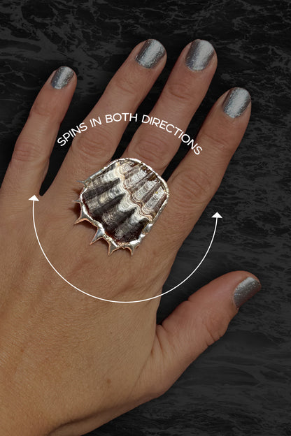 Soldered Seashell Adjustable Fidget Spin Ring