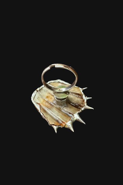 Soldered Seashell Adjustable Fidget Spin Ring