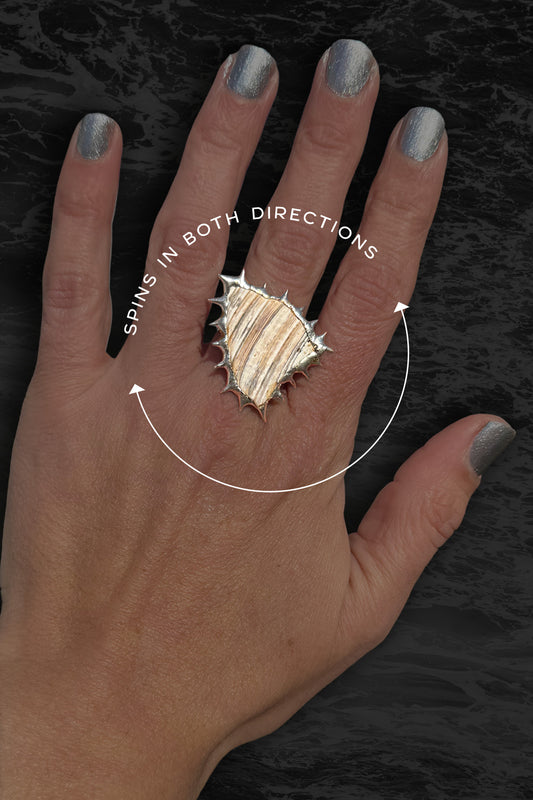 Soldered Seashell Adjustable Fidget Spin Ring