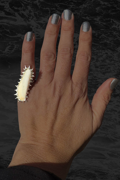 Soldered Seashell Adjustable Fidget Spin Ring