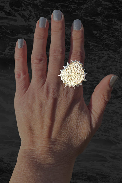 Soldered Seashell Adjustable Fidget Spin Ring