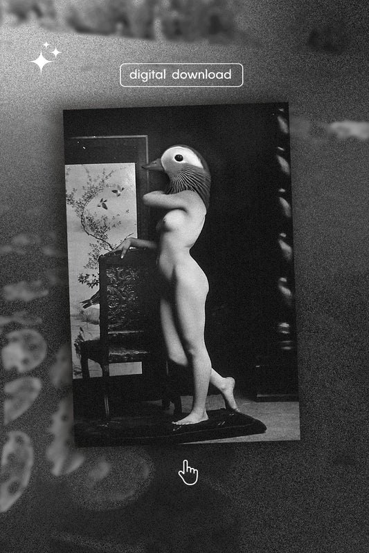 Naked Duck Lady Nude Collage 6x4" Digital Download