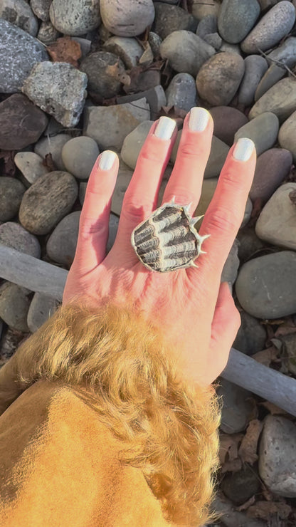 Soldered Seashell Adjustable Fidget Spin Ring