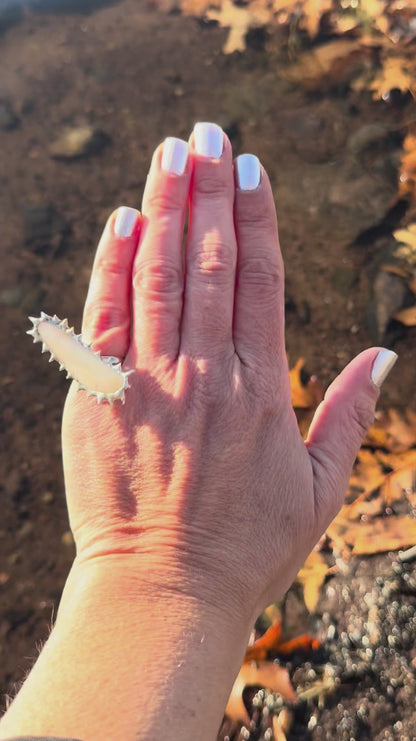 Soldered Seashell Adjustable Fidget Spin Ring