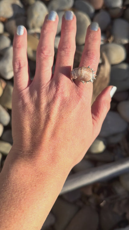 Soldered Seashell Adjustable Fidget Spin Ring