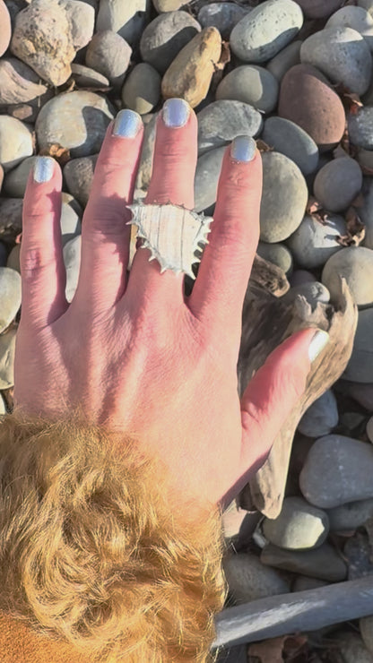 Soldered Seashell Adjustable Fidget Spin Ring