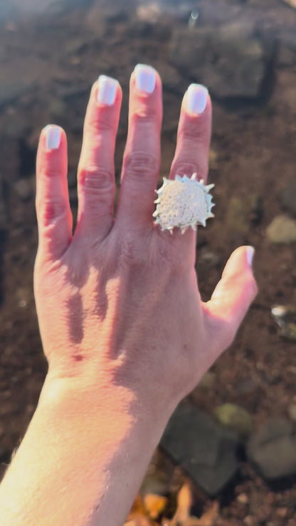 Soldered Seashell Adjustable Fidget Spin Ring