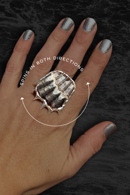 Soldered Seashell Adjustable Fidget Spin Ring
