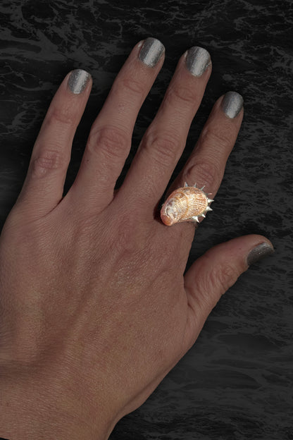 Soldered Seashell Adjustable Fidget Spin Ring