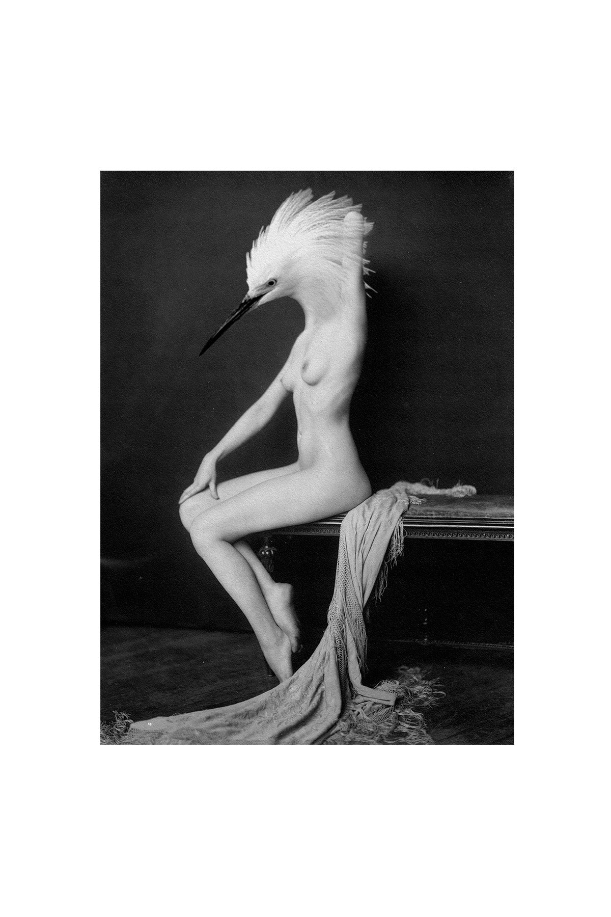 Naked Egret Short Sleeve T-Shirt